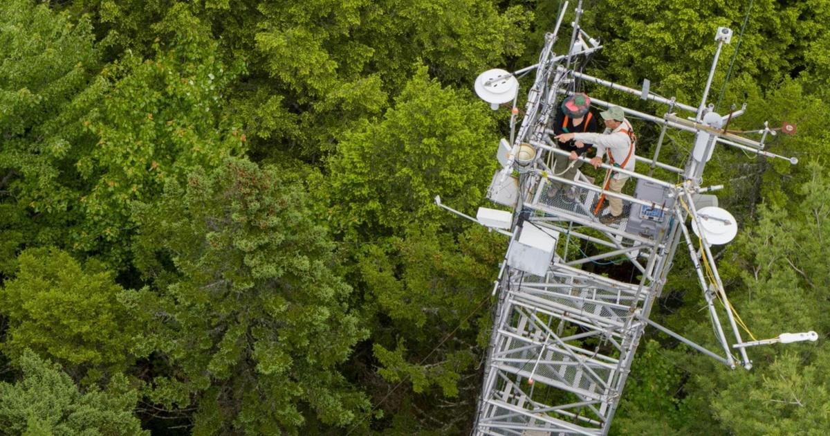 Maine Public News Howland Research Forest PBS