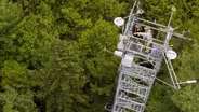 Howland Research Forest