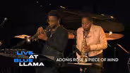 Adonis Rose & Piece of Mind