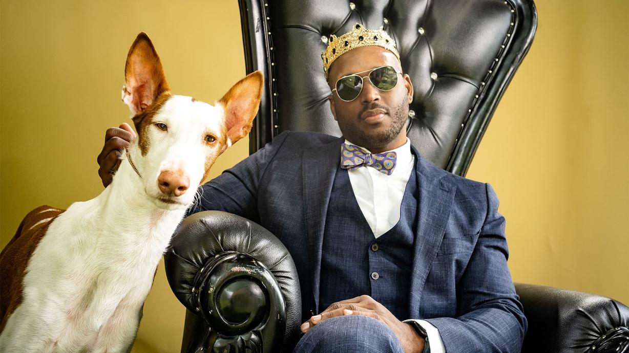 Man's Best Friend movie review - MikeyMo Man's best friend tvb episodes