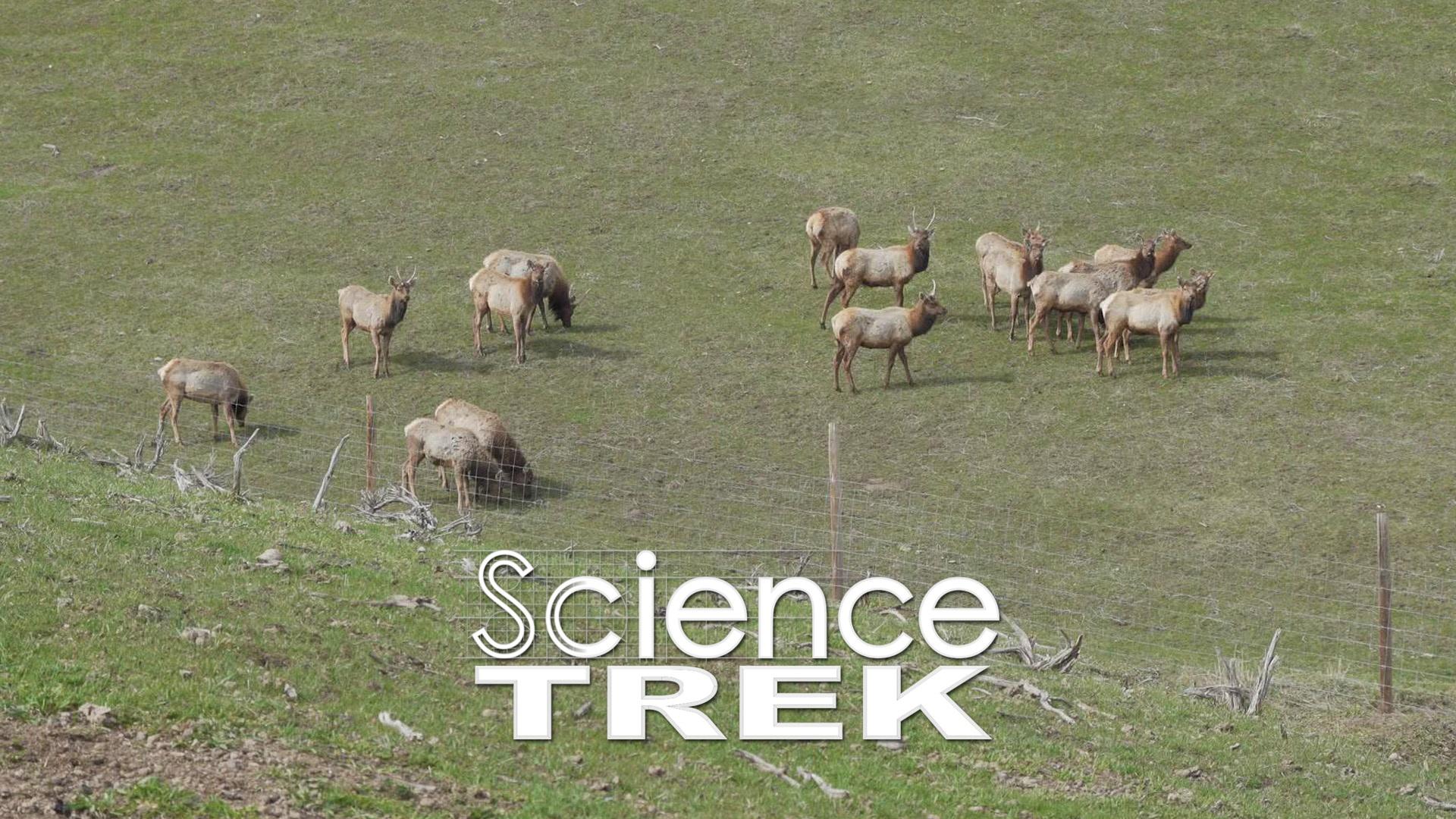 Science Trek - Science Trek