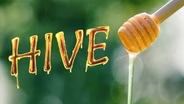 HIVE