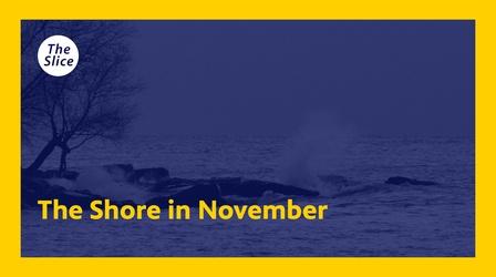 Video thumbnail: The Slice The Shore in November