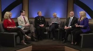 The Political Panel