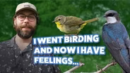 From Window Watcher to Birder