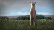 How Weasels Got Skinny