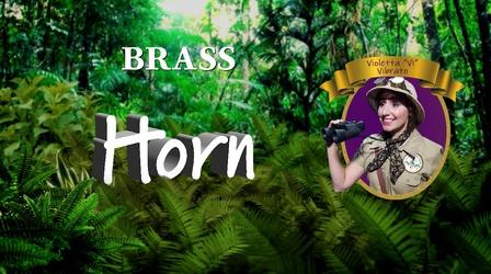 Video thumbnail: TSO Symphonic Safari Adventure! Horn: Meet Leslie, the hornist!