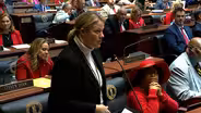 Bill Lowering Driver Age Advances