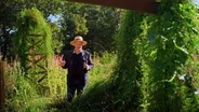 Vines