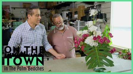 Video thumbnail: On The Town Palm Beaches Designer Makes Everything Beautiful