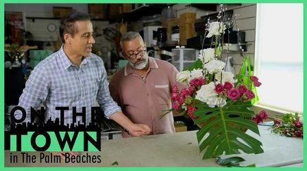 Video thumbnail: On The Town Palm Beaches Designer Makes Everything Beautiful