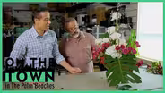 Palm Beaches Designer Makes Everything Beautiful