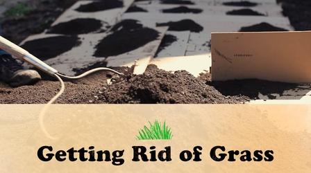 Video thumbnail: Let's Grow Stuff Getting Rid of Grass