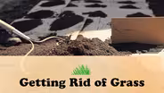 Getting Rid of Grass