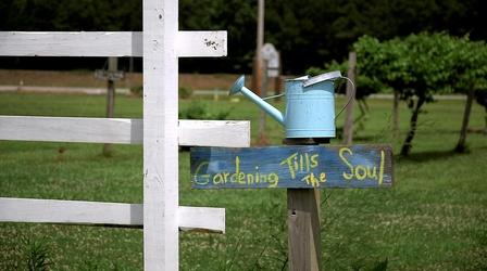 Video thumbnail: Flavor NC "From the Vineyard" Special 2