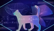 Does Quantum Immortality Save Schrödinger's Cat?
