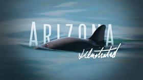 Video thumbnail: Arizona Illustrated February 16, 2020