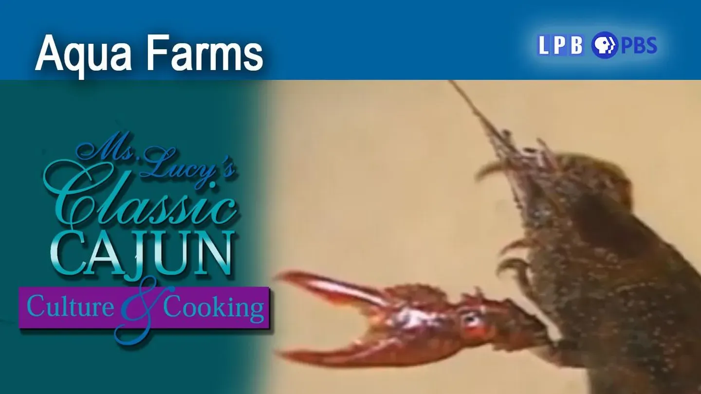 Aqua Farms