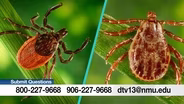 Ticks in Marquette County
