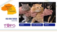 05/08/2025 | Aspen, Luke Spencer and Ripley | Mark’s Furry Friends Extra