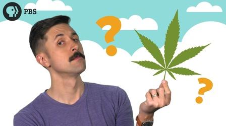 Video thumbnail: Two Cents Should I Invest In Cannabis Stocks?