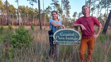Video thumbnail: Local Routes Apalachicola Lowlands Preserve: A Family’s Labor of Love