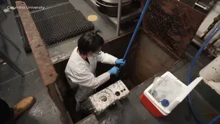 With testing way down, how can we track COVID-19?