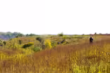 Prairie Stewards