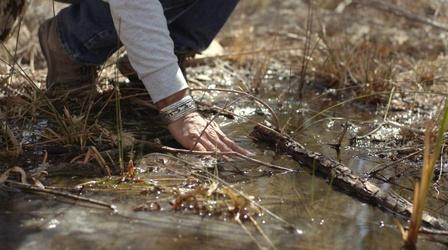 Video thumbnail: Tending Nature Preserving the Desert with NALC
