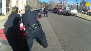 Dramatic video shows officer saving suicidal veteran