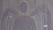 Hope’s Wings