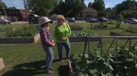 Video thumbnail: Volunteer Gardener Volunteer Gardener 2704