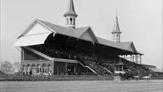 Bourbon and Horses