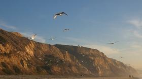 Video thumbnail: EXPLORE San Diego Black's Beach San Diego, CA