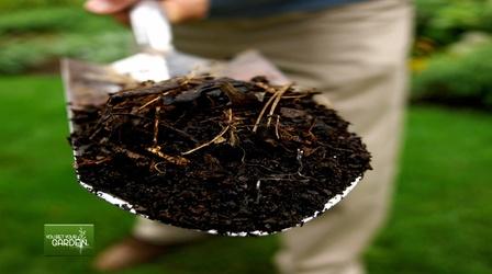 Video thumbnail: You Bet Your Garden You Bet Your Garden Ep. 122 Growing Plants from Seeds