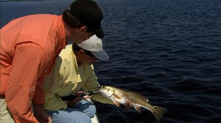 Video thumbnail: Carolina Outdoor Journal River Flounder