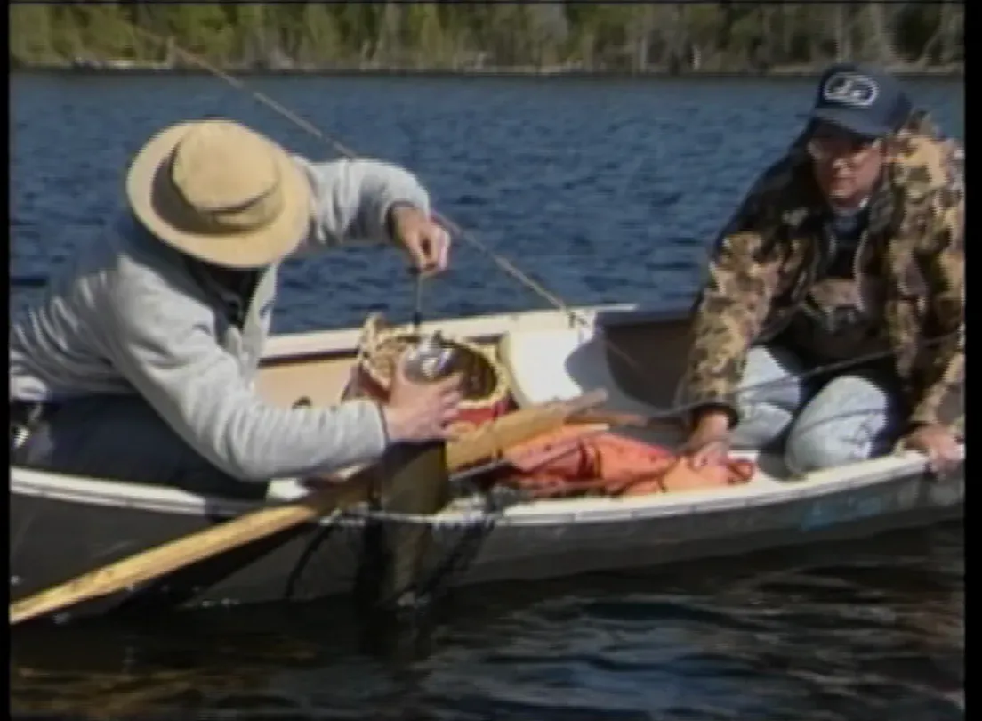 Brook Trout Spectacular