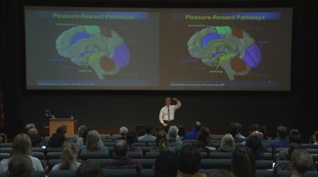 Video thumbnail: WVIA Special Presentations The New Neurobiology Of Addiction