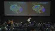 The New Neurobiology Of Addiction