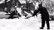 Chicago Stories: Fall 2025 - Trailer