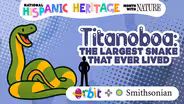 Titanoboa: The largest snake that ever lived