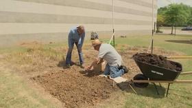 Video thumbnail: The Family Plot Planting Potatoes & Irises