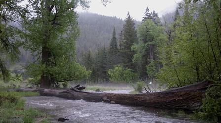 Video thumbnail: Oregon Field Guide Wallowa Rain Photo Essay