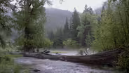 Wallowa Rain Photo Essay