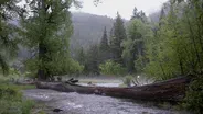 Wallowa Rain Photo Essay