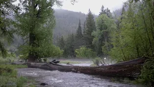 Wallowa Rain Photo Essay