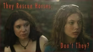 They Rescue Horses, Don't They?