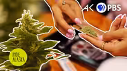 These Alaskans are using weed to heal humans and the planet