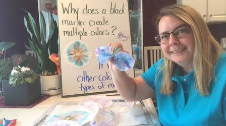 Video thumbnail: Camp TV Coffee Filter Chromatography