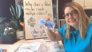 Coffee Filter Chromatography